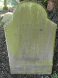 image of grave number 231216